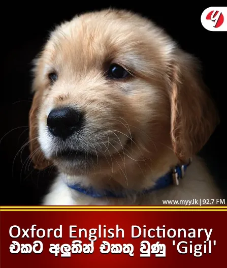 Oxford English Dictionary එකට අලුතින් එකතු වුණු Gigil
