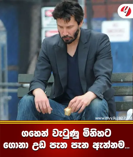 ගහෙන් වැටුණු මිනිහට ගොනා උඩ පැන පැන ඇන්නම…